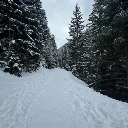 Апартаменты Duplex 8 Pers Au Pied Des Pistes Valfrejus *
